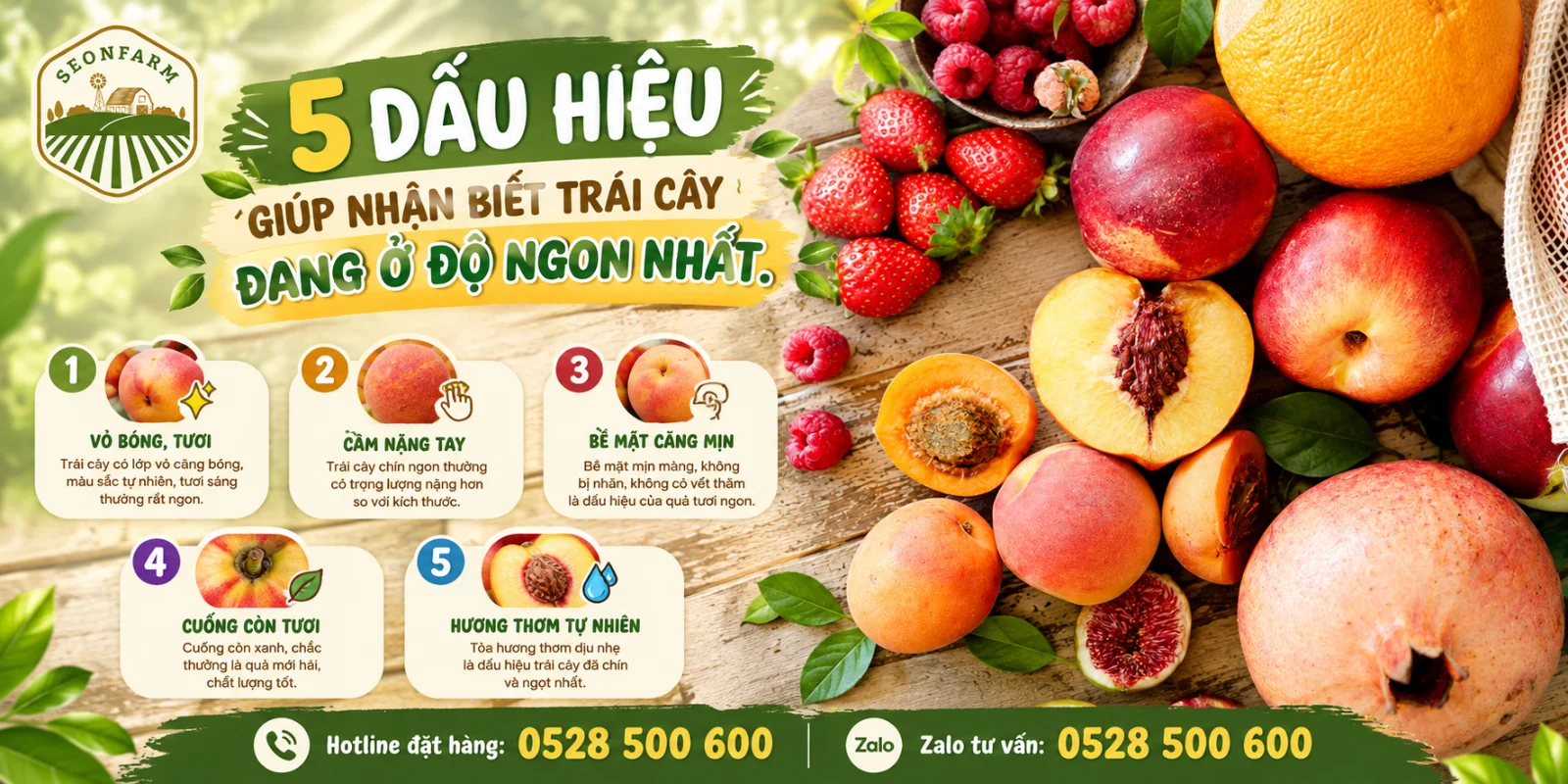 Fresh Fruit Guide Infographic