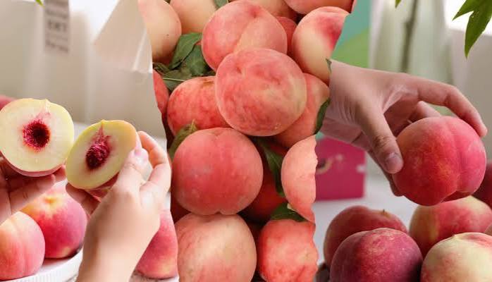 Đào tuyết giúp da sáng mịn và giảm cân hiệu quả
