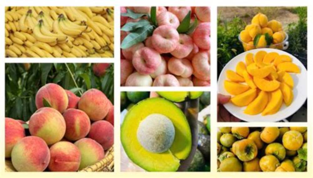 Đa dạng trái cây tươi cho mâm lễ dâng hương đủ đầy