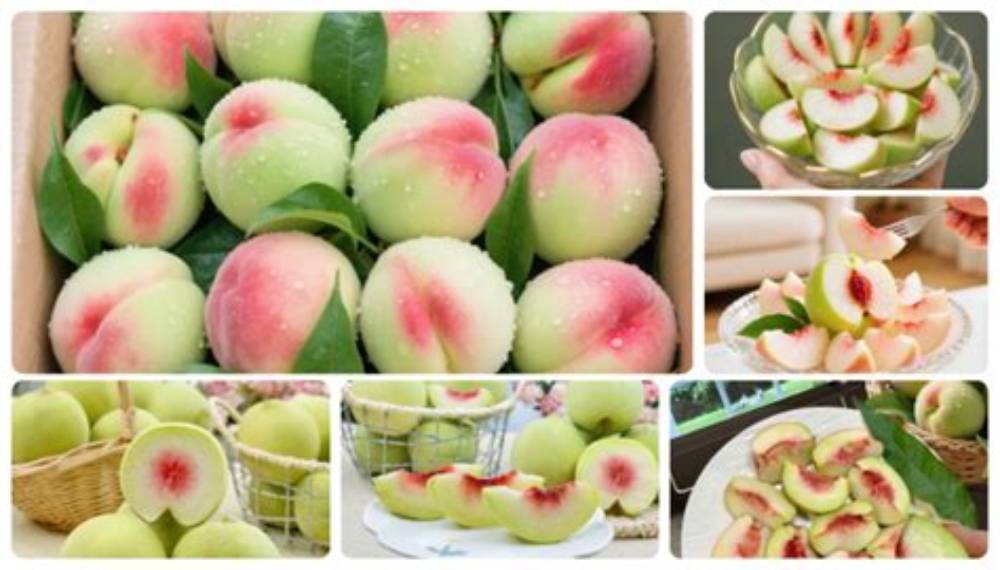 Đào mật phỉ thúy tươi ngọt - Hương vị khó quên