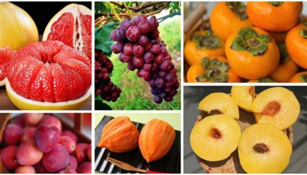 Gợi ý mâm cỗ Trung Thu với trái cây SeonFarm