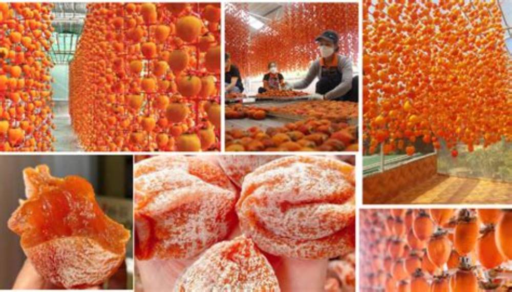 Hồng treo gió là gì? Quy trình tạo nên vị ngọt tự nhiên