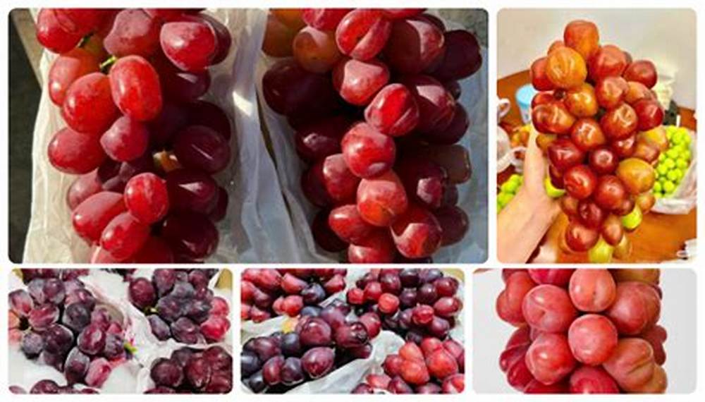 Nho sữa đỏ trái tim 1 chùm 1kg6 - 1kg9 - Quà tặng sức khỏe sang trọng, ý nghĩa